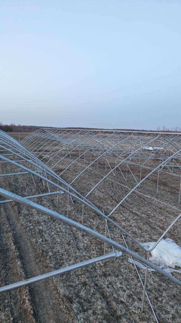 Ягодный тоннель — боковой ракурс