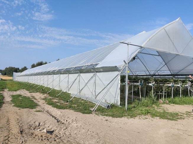 Полное открытие ягодного тоннеля — ракурс 3