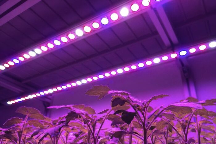 Система LED-досвечивания растений